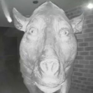 Meet your Posher, Collab